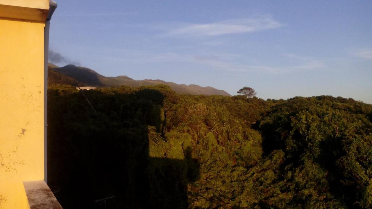 Queimada Quinta Dos Dragoeiros - Rral Nº3452公寓 外观 照片