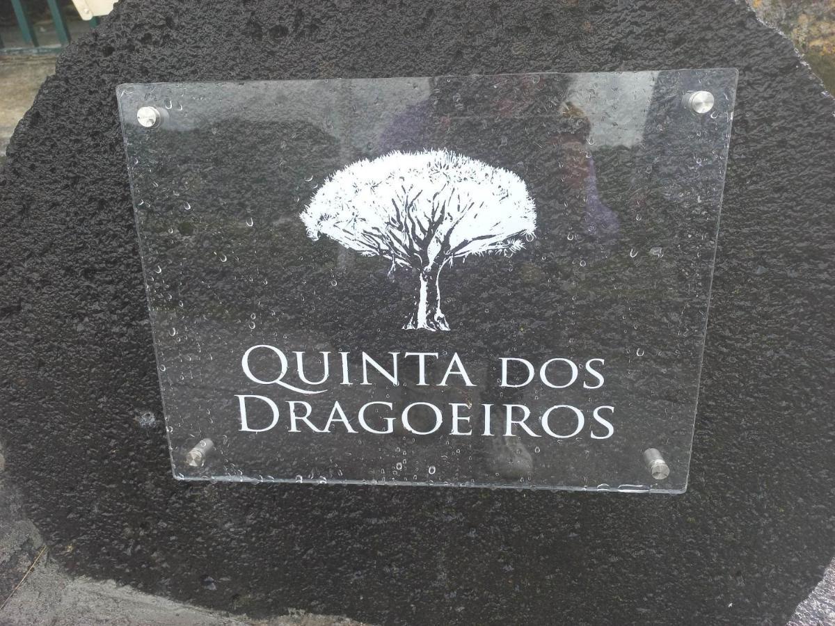Queimada Quinta Dos Dragoeiros - Rral Nº3452公寓 外观 照片